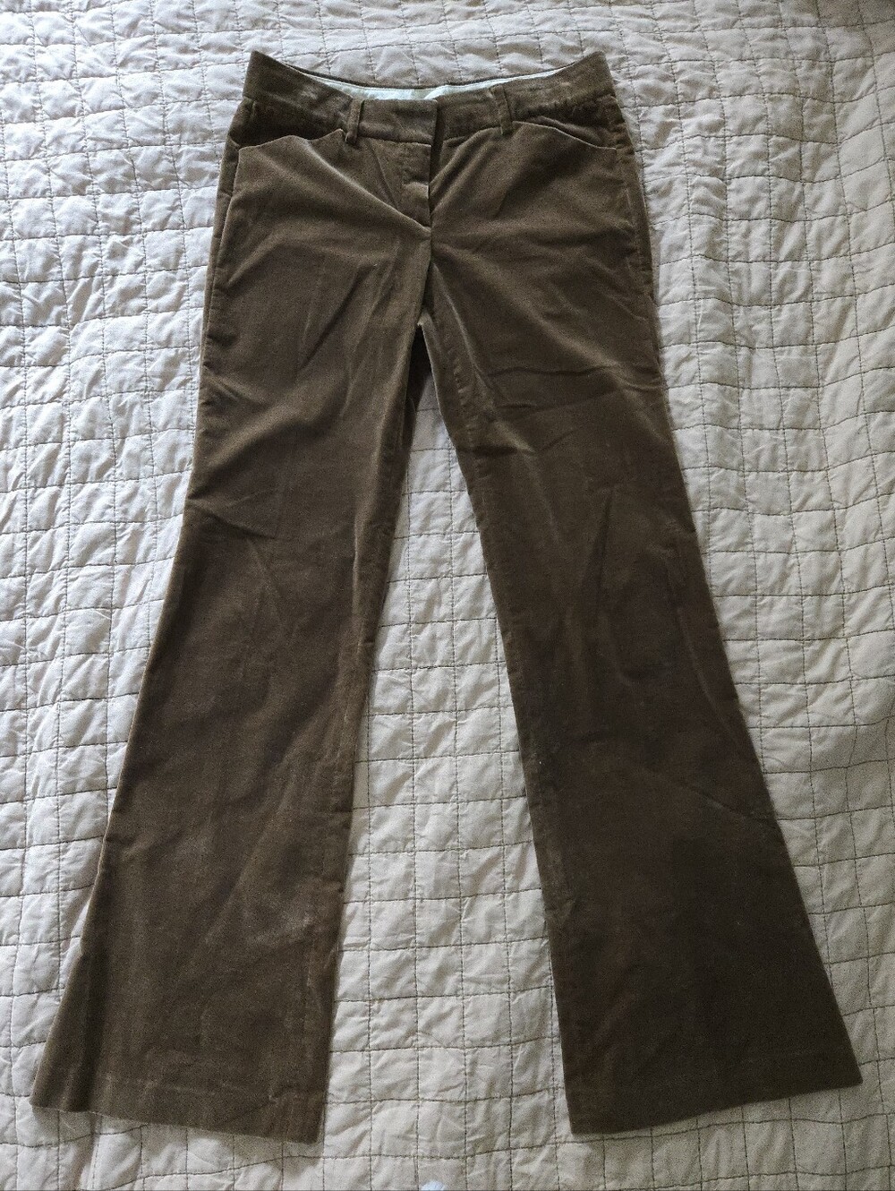 Theory Velvet Vintage Cotton Brown Mocha  Pants Size 6